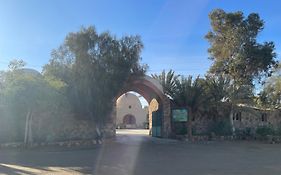 Ahmed Safari Camp