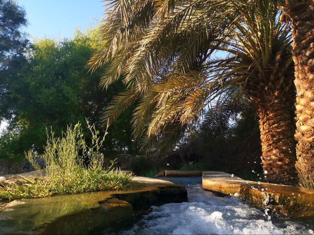Hotel Ahmed Safari Camp Bawati Zewnętrze zdjęcie